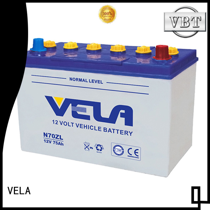 professional dry cell car battery perfect for car VELA