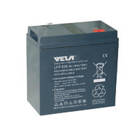 LFP636 6V 36Ah 12v Sealed Lead Acid Rechargeable Battery